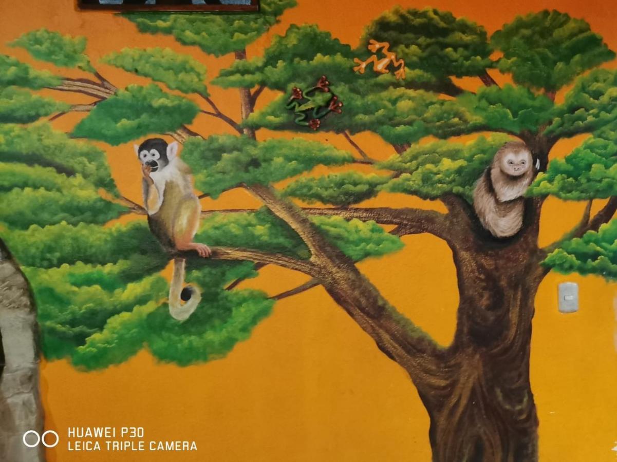 Costa Linda Art Hostel Мануэль-Антонио Экстерьер фото